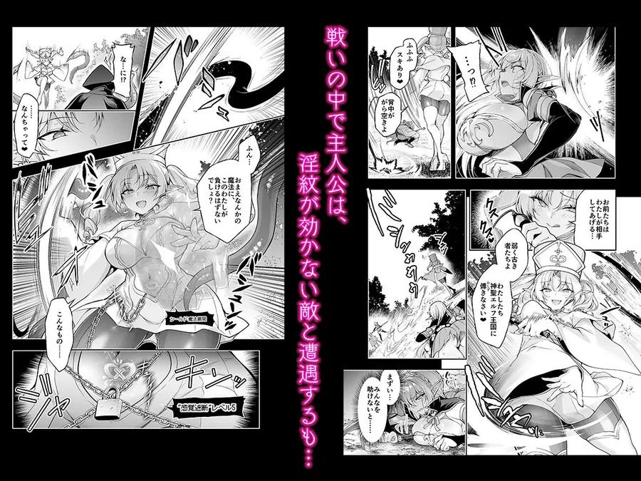 【無料エロ漫画・同人】エルフに淫紋を付ける本 LEVEL:9-3枚目