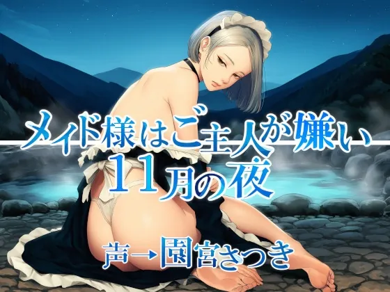 メイド様はご主人が嫌い 11月の夜(近未来のふわふわ) | RJ01498383