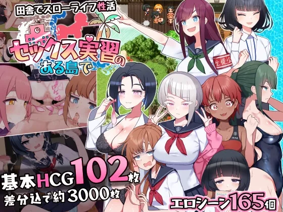 RJ01481895 sekkusu jisshuu noaru fi