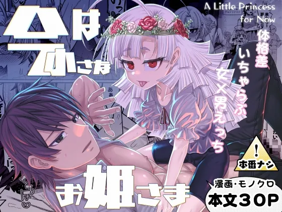 RJ01510258 chiisa himesama ima fi