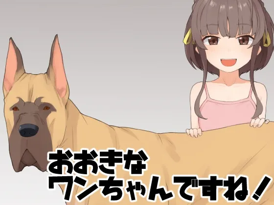 RJ01540402 ookina chandesune wan fi