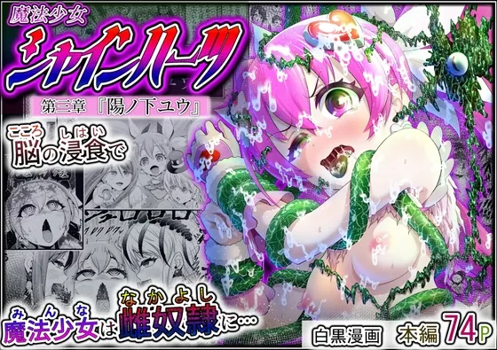 RJ01534223 mahoushoujo shainhaatsu daisanshou fi